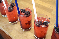 SPRING HAS SPRUNG BAT MITZVAH